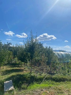 CASA DE VANZARE 240mp in Bogdanesti, jud. BACAU - imagine 9