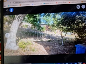 Vand casa si teren in Constanta - imagine 13