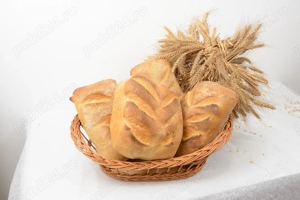 Angajam urgent manager coordonataor distributie produse panificatie