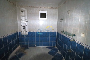 Vila de vanzare Scorteni, Mislea - imagine 10