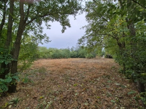 Casă cu teren 3.682 mp, sat Radu Vodă (com. Lupsanu, jud. Călărași) - imagine 8