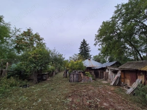 Casă cu teren 3.682 mp, sat Radu Vodă (com. Lupsanu, jud. Călărași) - imagine 7