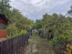 Casă cu teren 3.682 mp, sat Radu Vodă (com. Lupsanu, jud. Călărași) - imagine 4