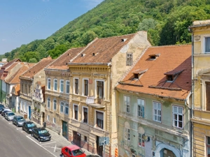 Zona Centrala Structura Generoasa