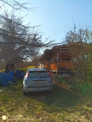 Livadă și vie în Goruni lângă Tomești cu 10 euro mp