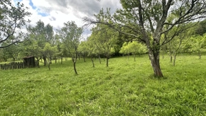 Teren intravilan 3102mp zona Racovita-Blanoiu - imagine 4