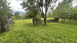 Teren intravilan 3102mp zona Racovita-Blanoiu - imagine 5