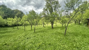 Teren intravilan 3102mp zona Racovita-Blanoiu - imagine 7