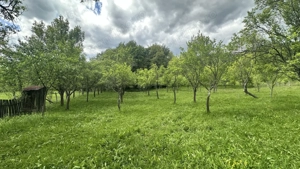 Teren intravilan 3102mp zona Racovita-Blanoiu - imagine 6