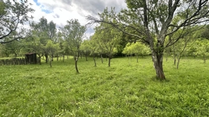 Teren intravilan 3102mp zona Racovita-Blanoiu - imagine 3