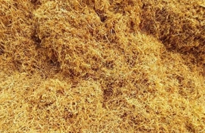 Livrez personal în toate sectoarele din București  - imagine 4