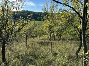 Teren intravilan în Fetindia - imagine 2