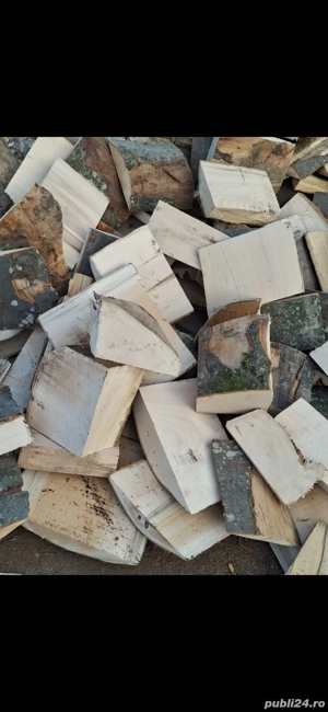 Vând Deșeuri pentru foc uscate esență tare  - imagine 2