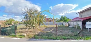 Pozitie excelenta, teren de vanzare in Becicherecu Mic, utilitati la poarta - imagine 10