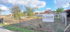 Teren de vânzare: 504 mp - Becicherecu Mic, poziție excelentă, în vatra satului!