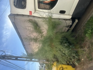 Iveco daily 2018 - imagine 2