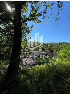 Vand Vila de vacanta Valiug  - imagine 6