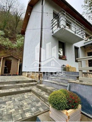 Vand Vila de vacanta Valiug  - imagine 3