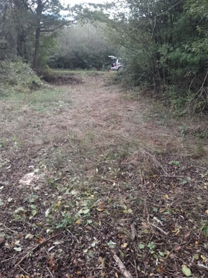 Teren extravilan - 1720 mp, Lupești, jud. Arad  - imagine 5