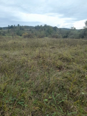 Teren extravilan - 1720 mp, Lupești, jud. Arad  - imagine 6