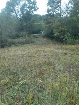 Teren extravilan - 1720 mp, Lupești, jud. Arad  - imagine 7