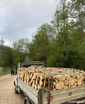 Lemne de foc taiate