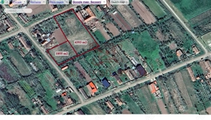 Teren intravilan 4.393 mp Seceani, lângă autostradă A1 – 0% comision - imagine 3