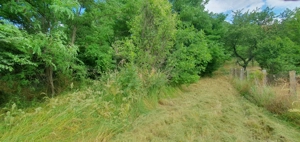 Vând teren Troianu-Posada RmValcea