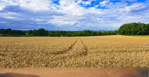 Judetul Dambovita, teren agricol