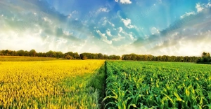 Judetul Dambovita, teren agricol - imagine 3