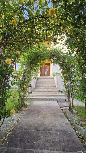 Proprietar închiriez Casă SMART + Spațiu Comercial Autorizat productie - imagine 3