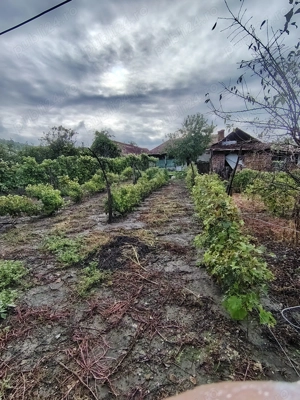 vand casa la tara - imagine 10