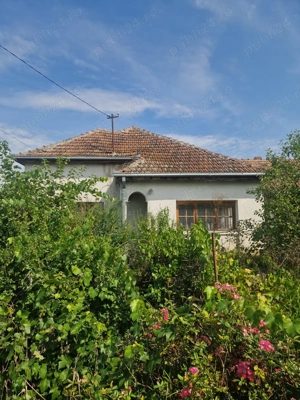 De vânzare teren arabil și teren intravilan cu casă din chirpici   Teghea, județul Satu Mare - imagine 3