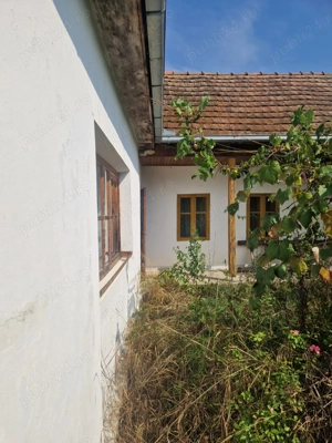 De vânzare teren arabil și teren intravilan cu casă din chirpici   Teghea, județul Satu Mare - imagine 2