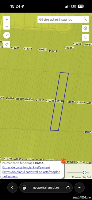 Teren agricol între Hodoni și Dudeștii Noi - imagine 2