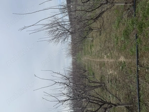 Vând casă  - imagine 5