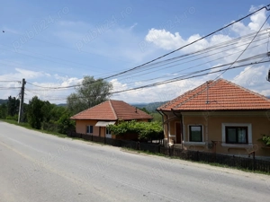 Vând două case și teren în oraș Tismana sat Celei la drumul principal 