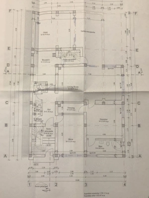 Cotroceni Arenele BNR Mihail Mirinescu Vila pentru birou sau rezidenta - imagine 7