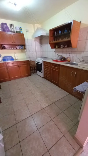 Proprietar unic vând casă în Timișoara - imagine 9