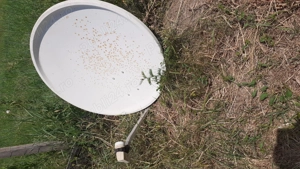 Antena parabolica completa - imagine 2