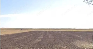 Teren extravilan cota parte 3/16 Amaru, ID: R2764932