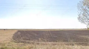 Teren extravilan cota parte 3/16 Amaru, ID: R2764932 - imagine 5