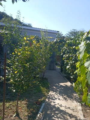 Case de vînzare confort apartament 