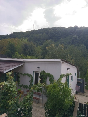 Case de vînzare confort apartament  - imagine 10