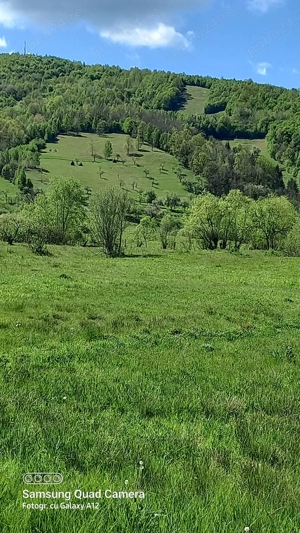 Parcele de teren de vanzare Munții Apuseni, Valea Ariesului, județul Alba. - imagine 7