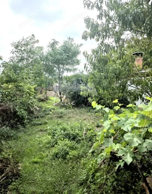 Teren cu casă demolabilă sau renovabila în Valu lui Traian, pe Calea Dobrogei - imagine 4