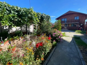 Vânzare proprietate cu 2 case individuale în com. Drăguțești, sat Cîrbești - imagine 9