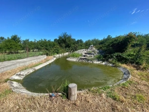 Vânzare proprietate cu 2 case individuale în com. Drăguțești, sat Cîrbești - imagine 4