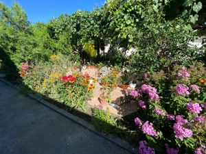 Vânzare proprietate cu 2 case individuale în com. Drăguțești, sat Cîrbești - imagine 3