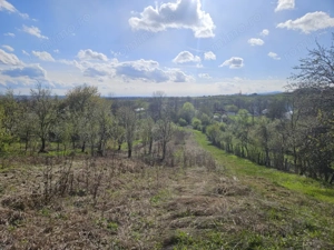 Vânzare teren 4606 mp - Sat Bâlta - Runcu - la aproximativ 20 km de Târgu Jiu - imagine 5